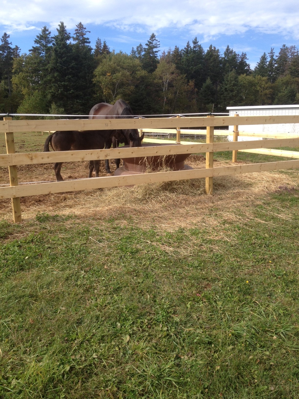 Permanent-Wood-Fence.jpg