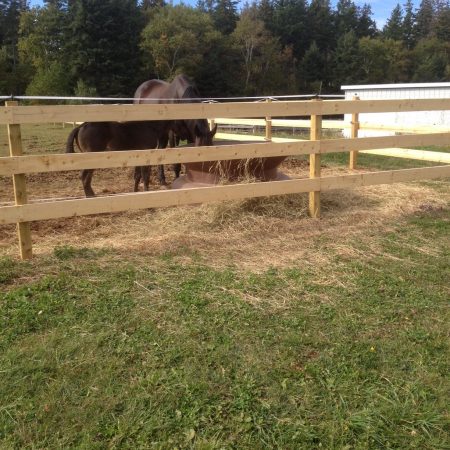 Permanent-Wood-Fence.jpg